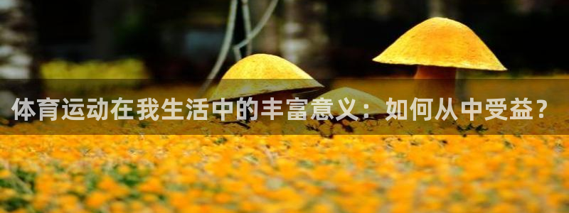 双赢平台体育平台总代理