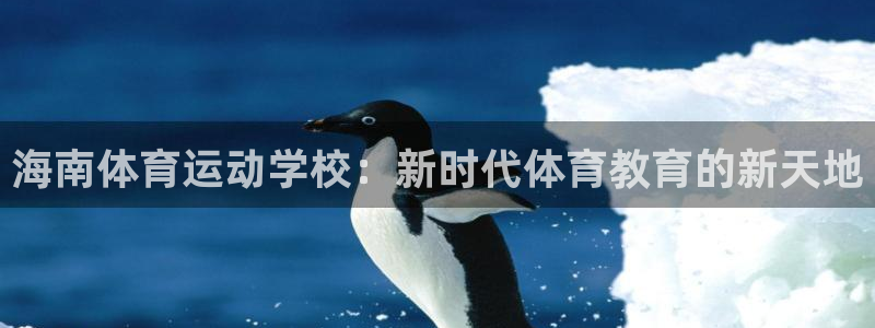 双赢平台集团总部