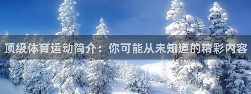 双赢平台体育官网
